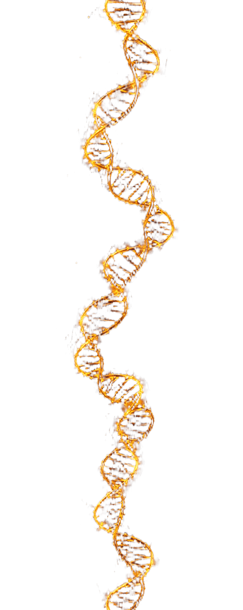 Full Genomic Spine