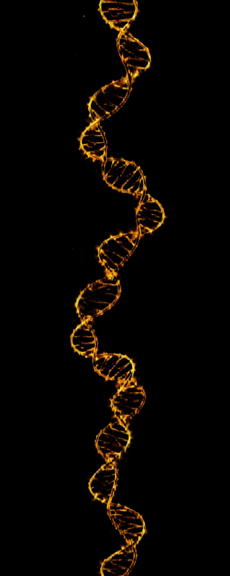 Full Genomic Spine